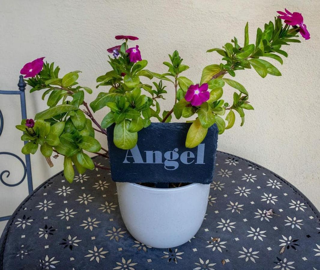 דירות מרססקלה Angel @ Aragon Court מראה חיצוני תמונה